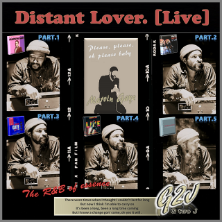 私が最も愛したMarvin Gaye（マーヴィン・ゲイ）の曲『Distant Lover.[Live Version；Pt.1∼Pt.5]』:Part.2